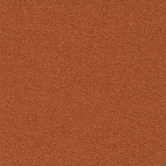  03 Millennium Nxtgen